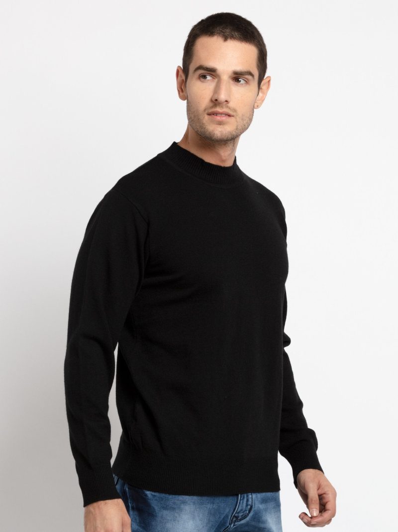 Mens Solid Turtle Neck Sweater