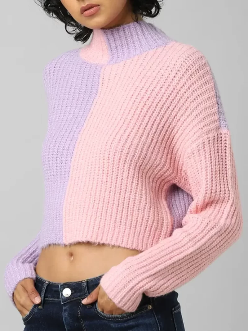 Purple Colourblocked High Neck Pullover
