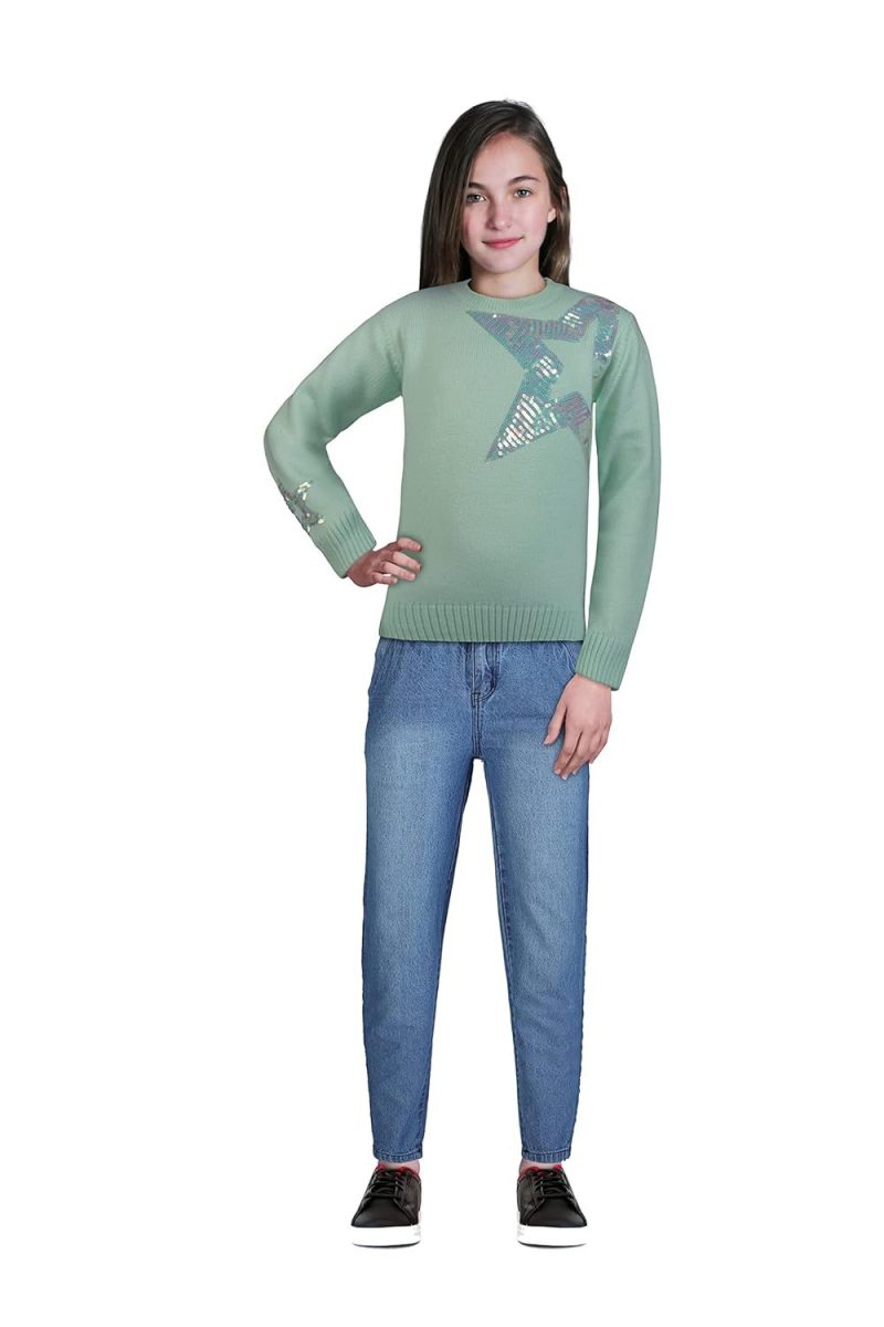 Gini & Jony Girls Green Embellished Woven Full Sleeves Sweater