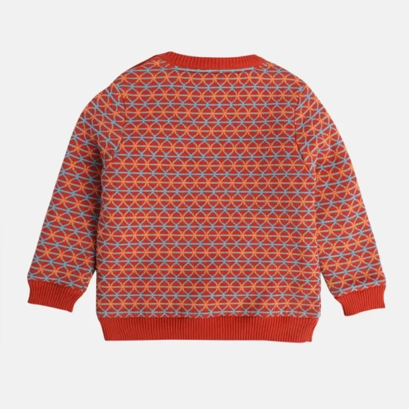 Boys Orange Sweater