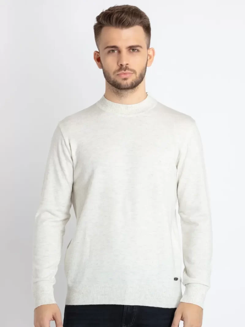 Mens Solid High Neck Sweater