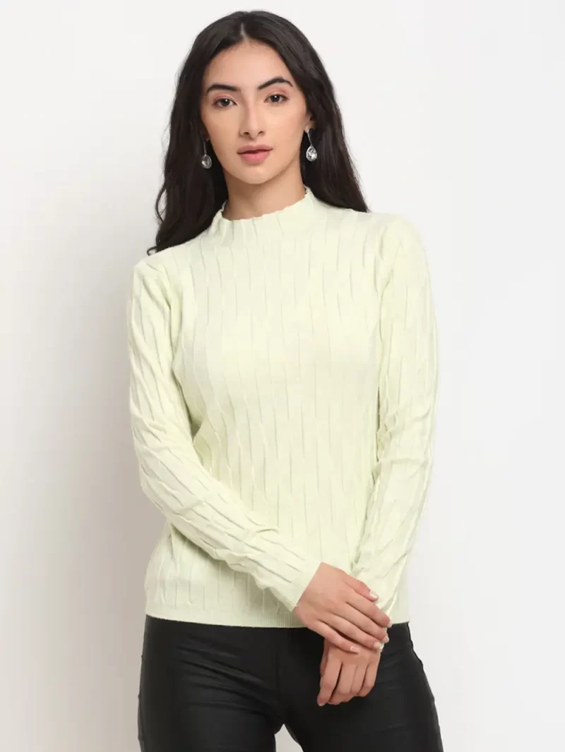 Women Black High Neck Slim Fit Skeevi Pullover