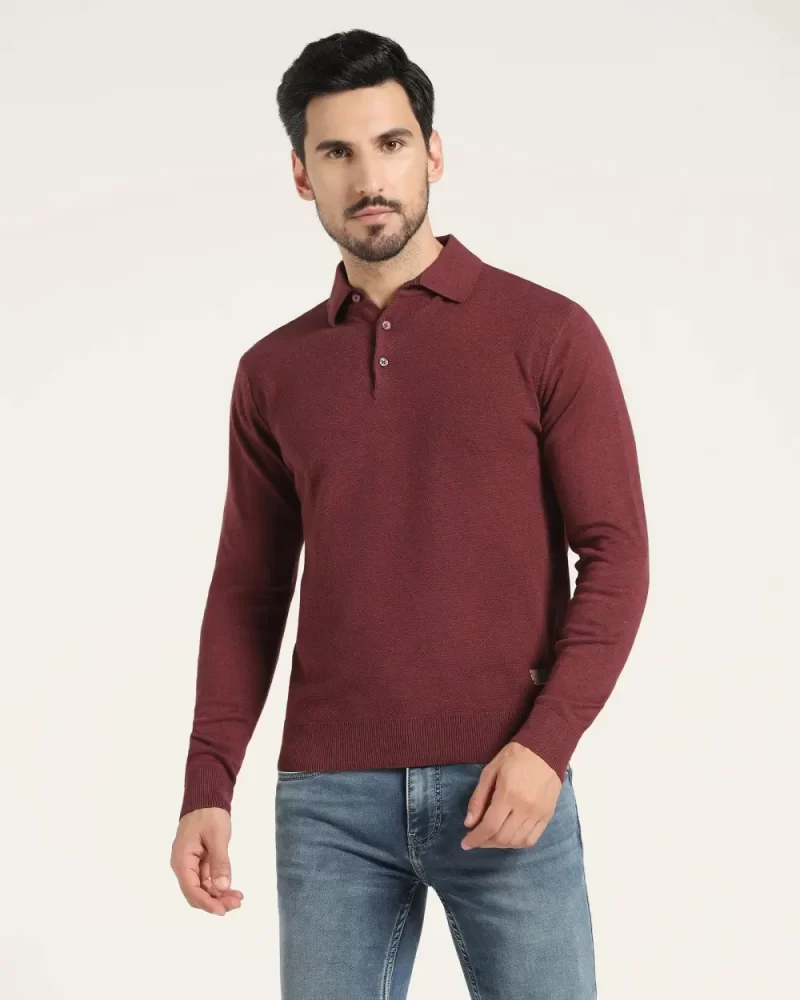 Polo Neck Brown Solid Sweater - Jill