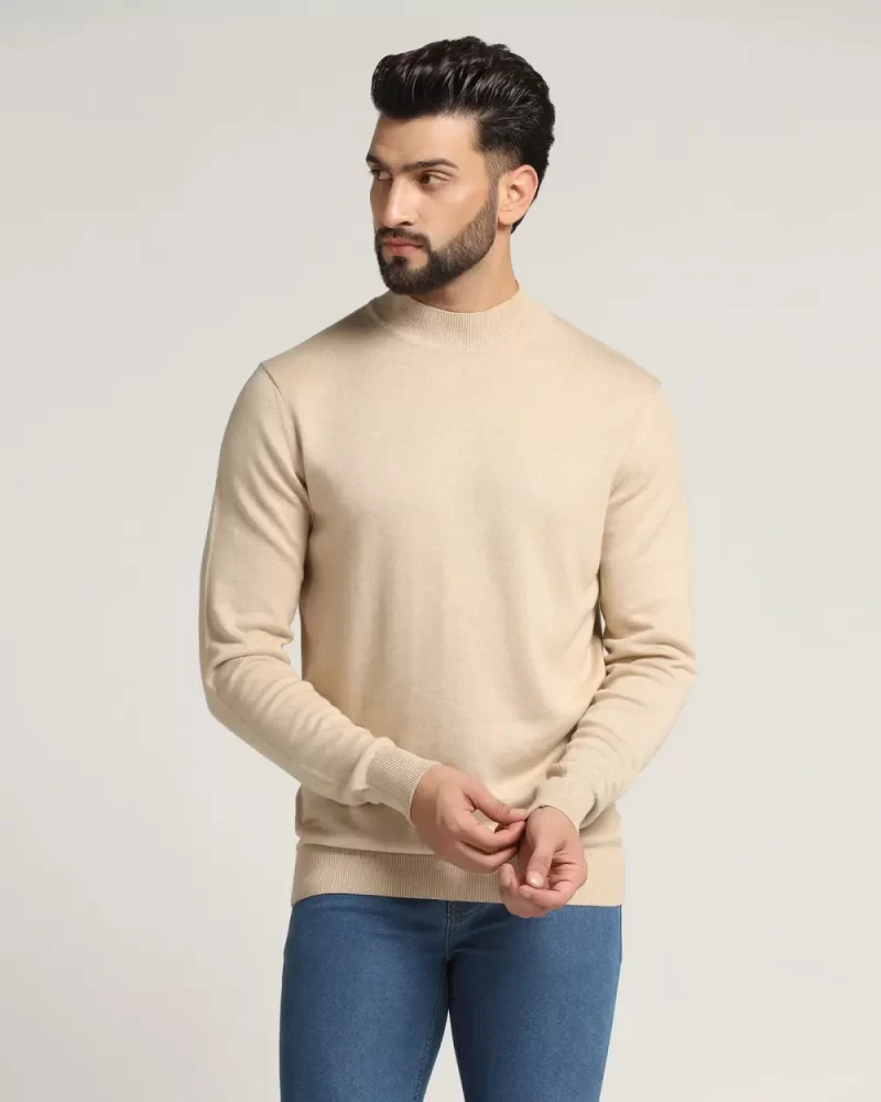 High Neck Beige Solid Sweater - Dexter