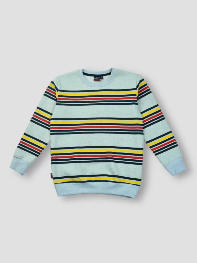 Boys Printed Fleece Sweat Shirt