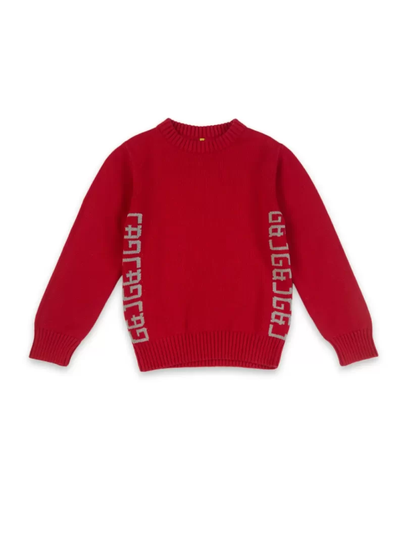 Gini & Jony Applique Crew Neck Casual Boys Sweater