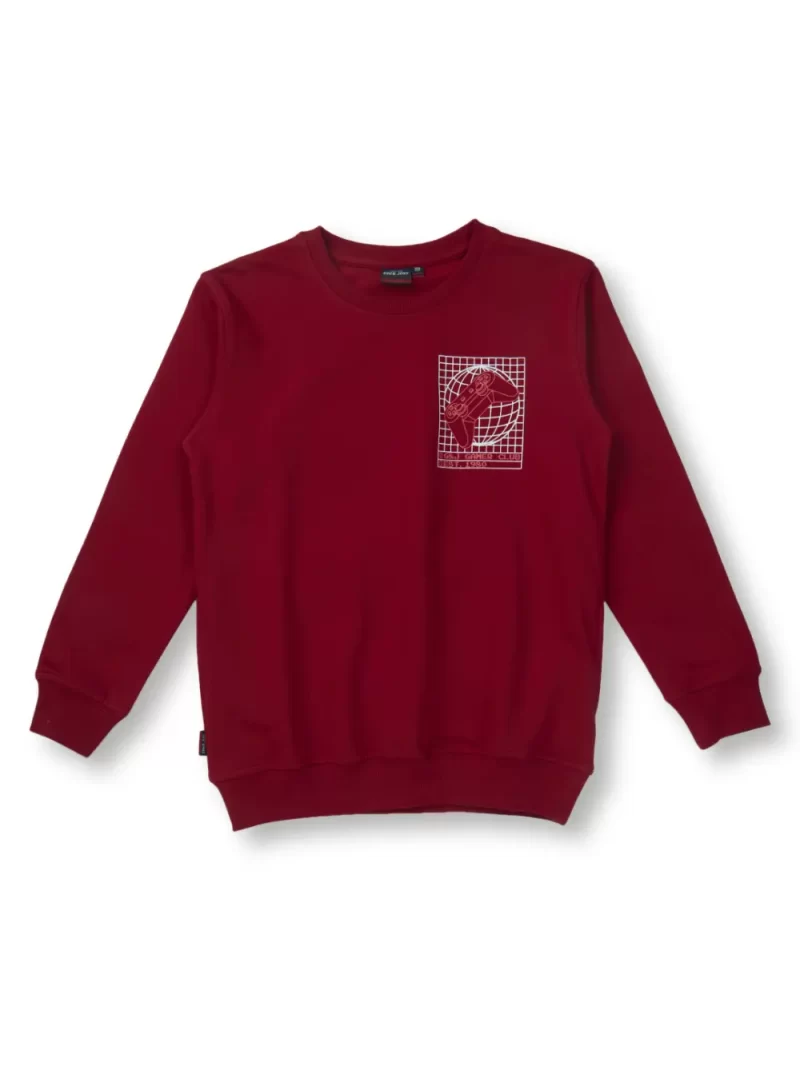 Boys Printed Fleece Sweat Shirt