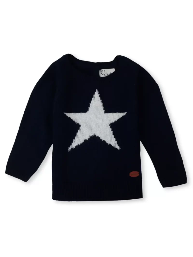 Gini & Jony Applique Crew Neck Casual Boys Sweater