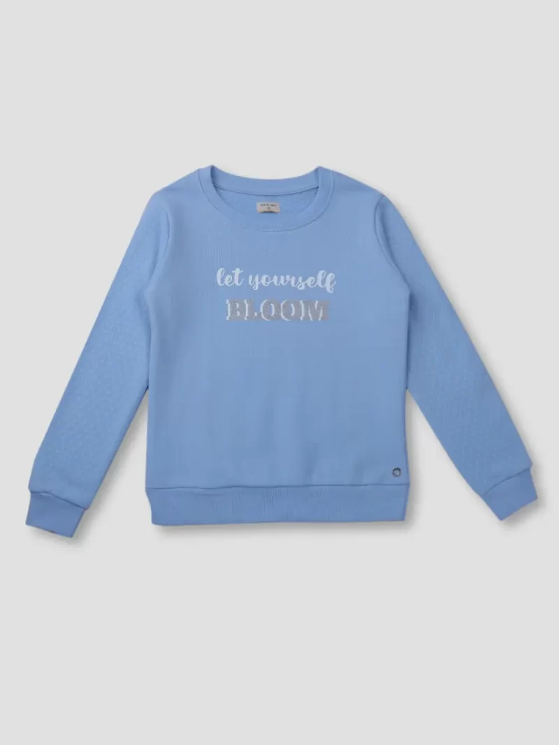 Boys Blue Cotton Printed Sweatshirt