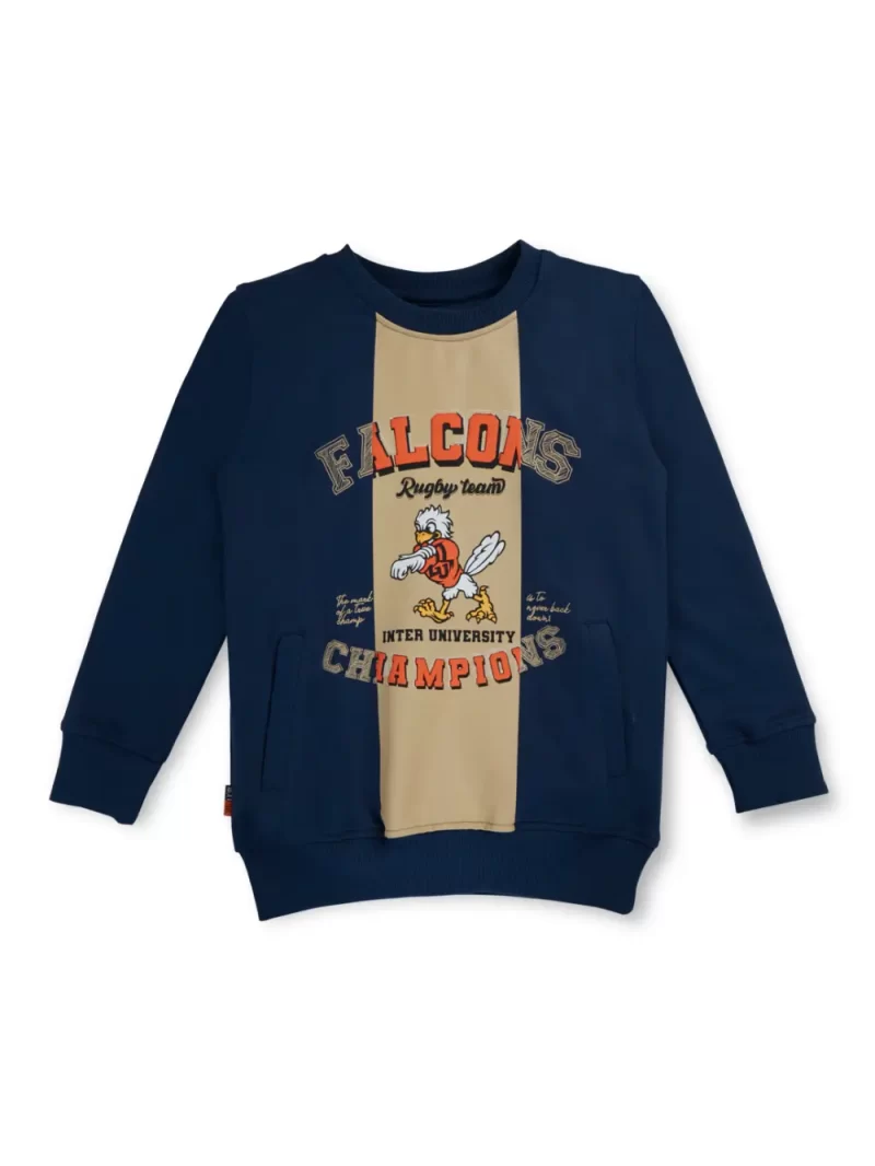 Boys Blue Cotton Printed Sweatshirt