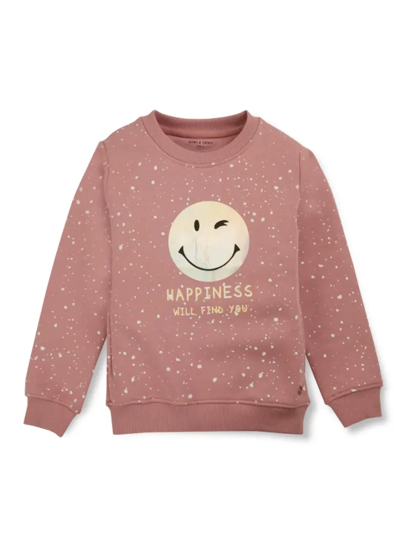 Boys Blue Cotton Printed Sweatshirt