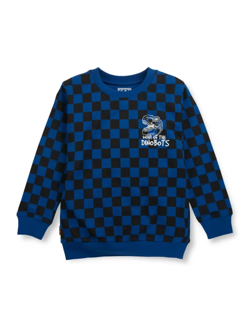 Boys Blue Cotton Printed Sweatshirt