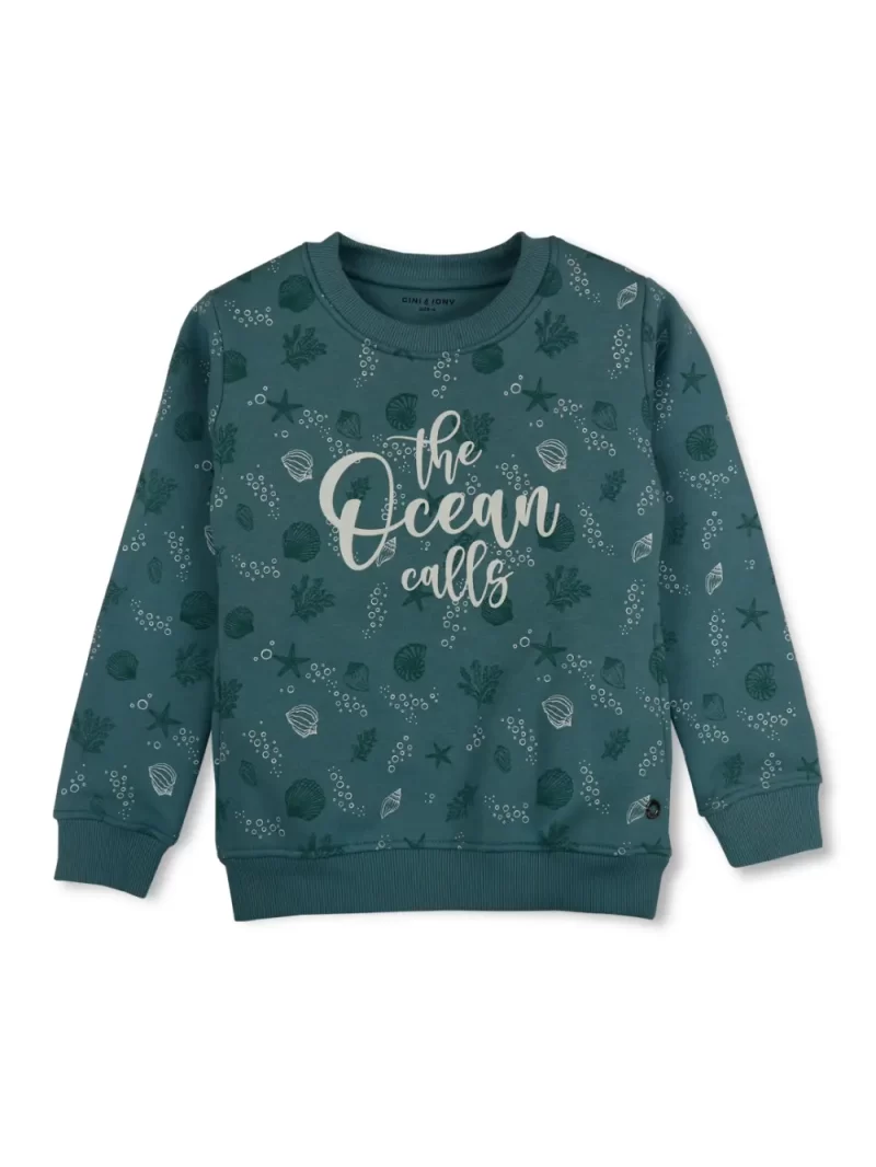 Boys Blue Cotton Printed Sweatshirt