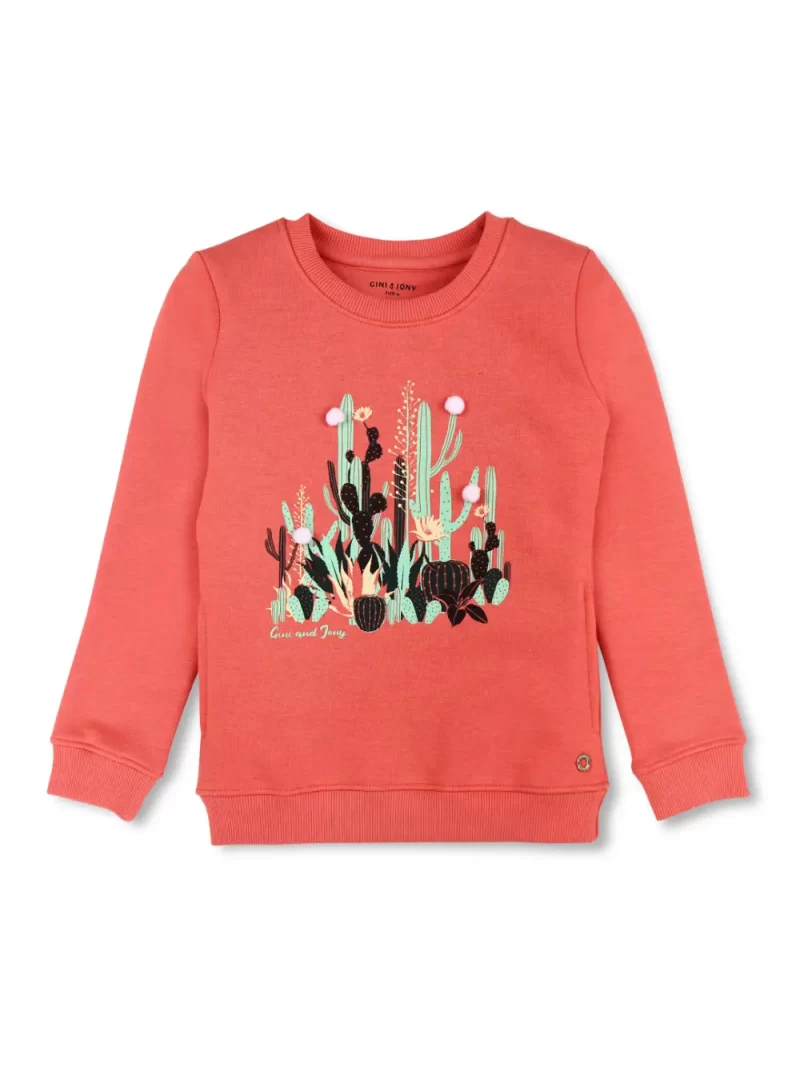 Boys Blue Cotton Printed Sweatshirt