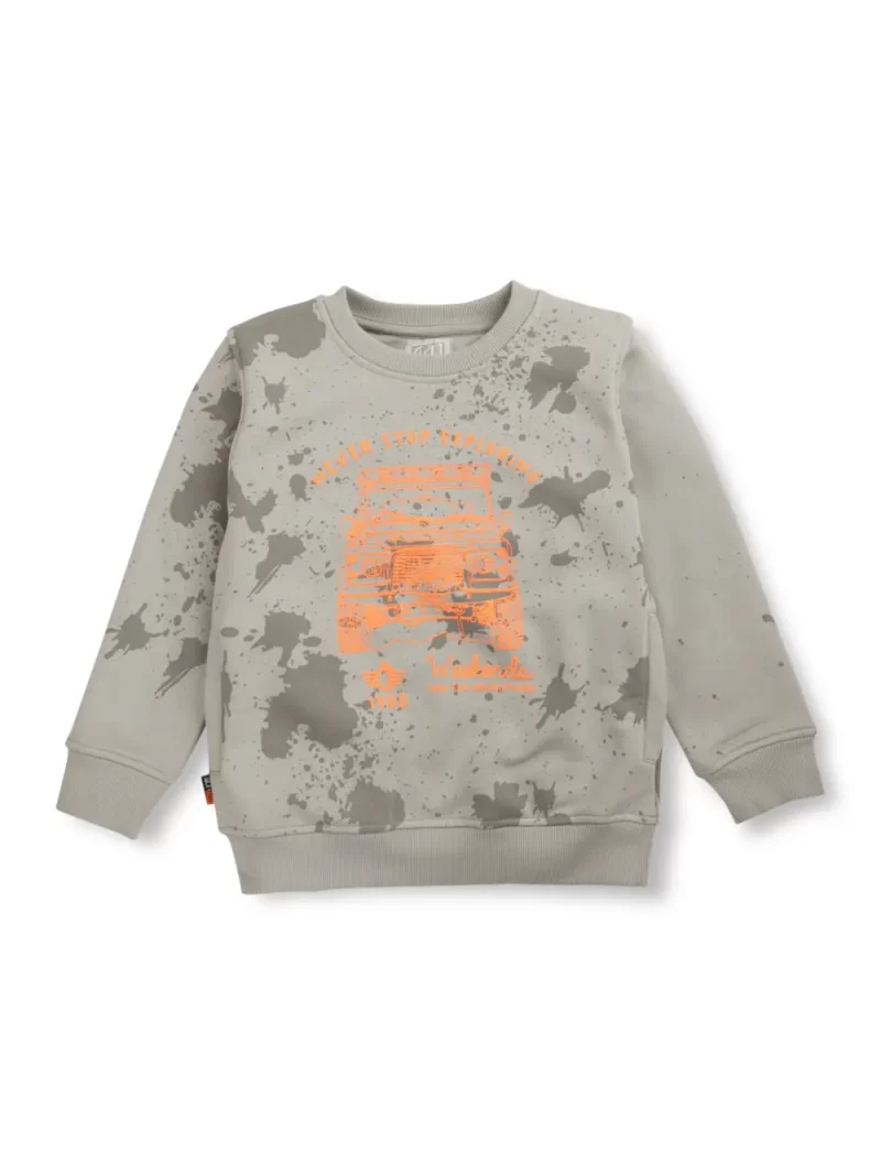 Boys Blue Cotton Printed Sweatshirt