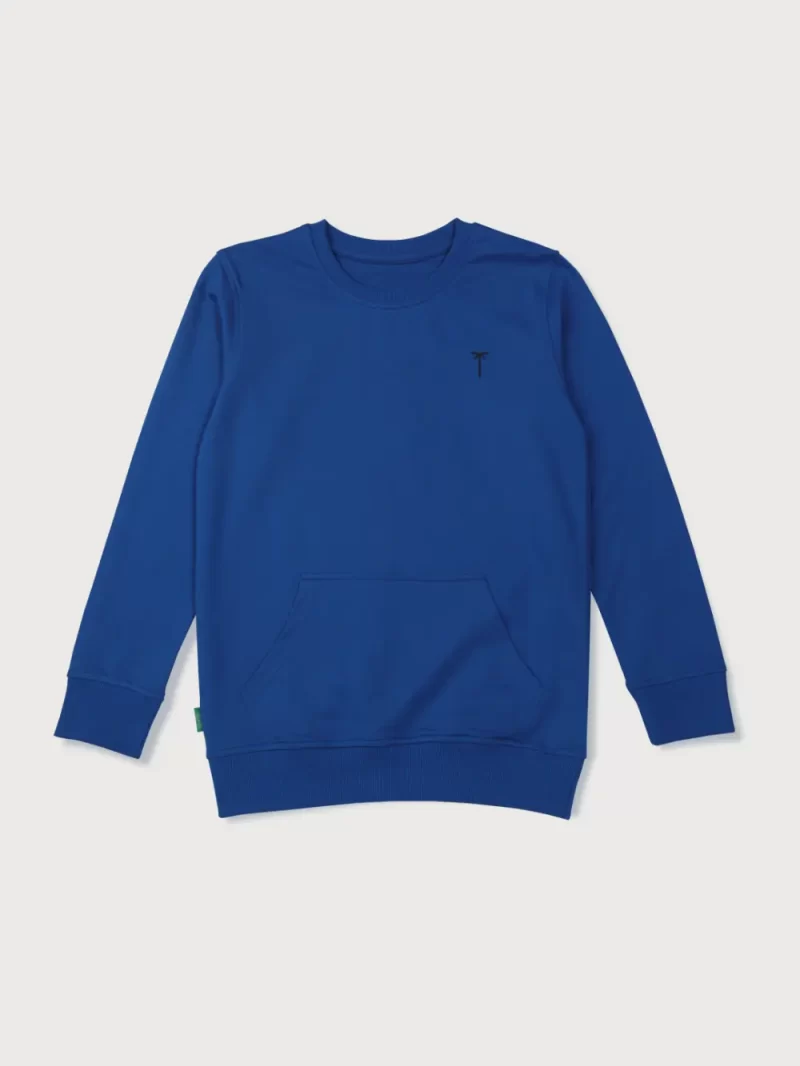 Boys Blue Cotton Printed Sweatshirt