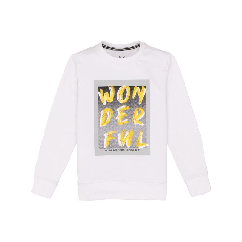 Boys Printed Lightweight Sweatshirt