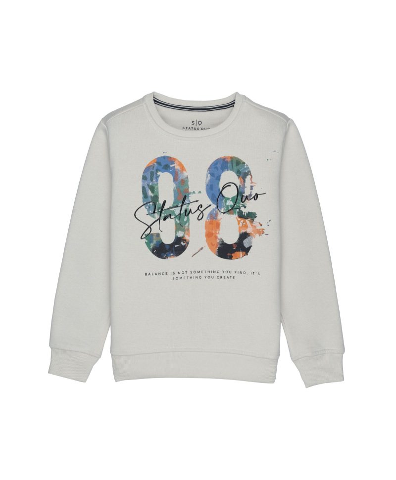 Boys Printed Round Neck Sweatshirt