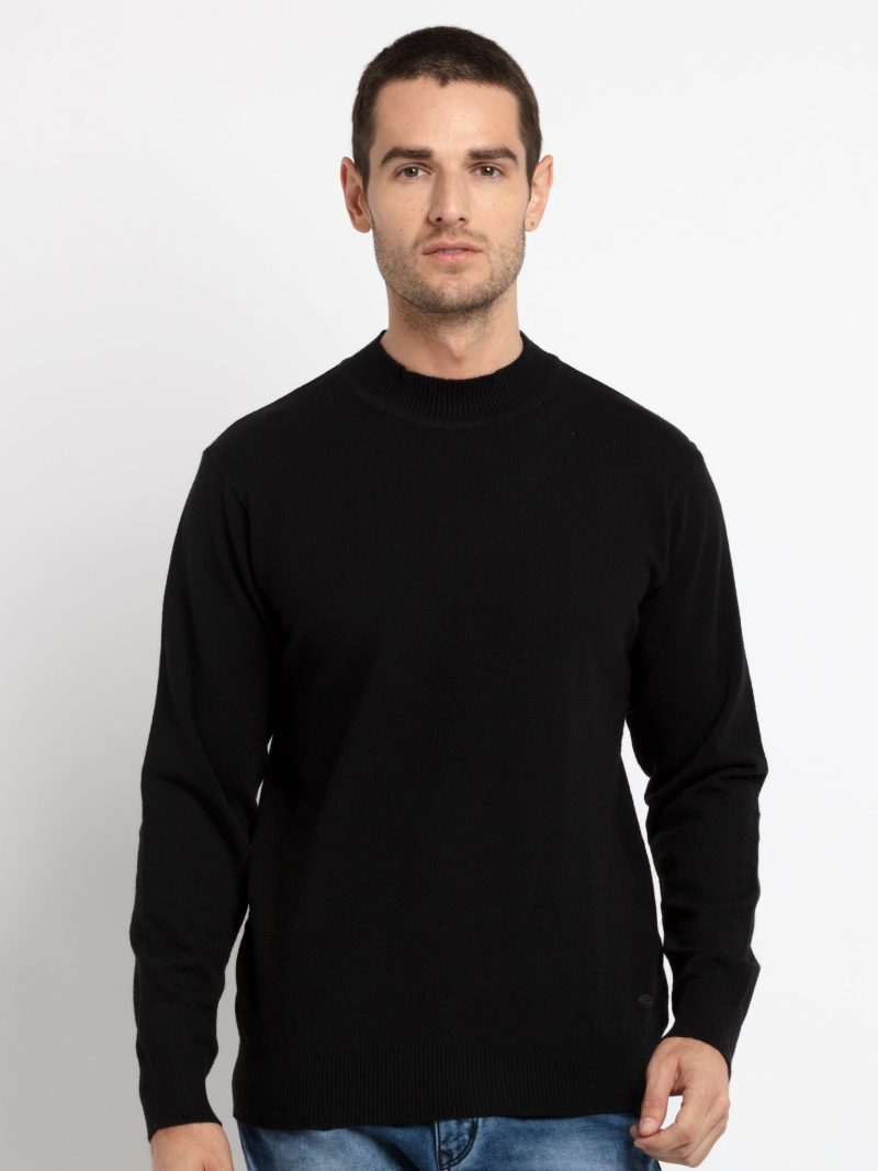 Mens Solid Turtle Neck Sweater