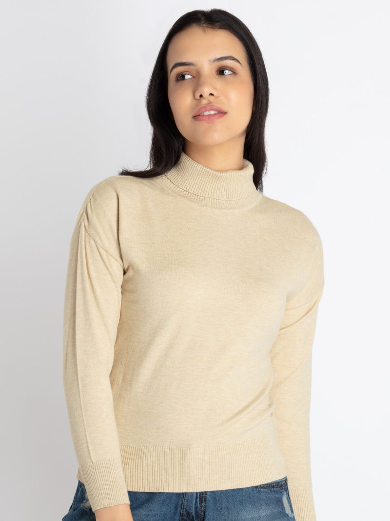 Womens Solid Turtle Neck Sweater