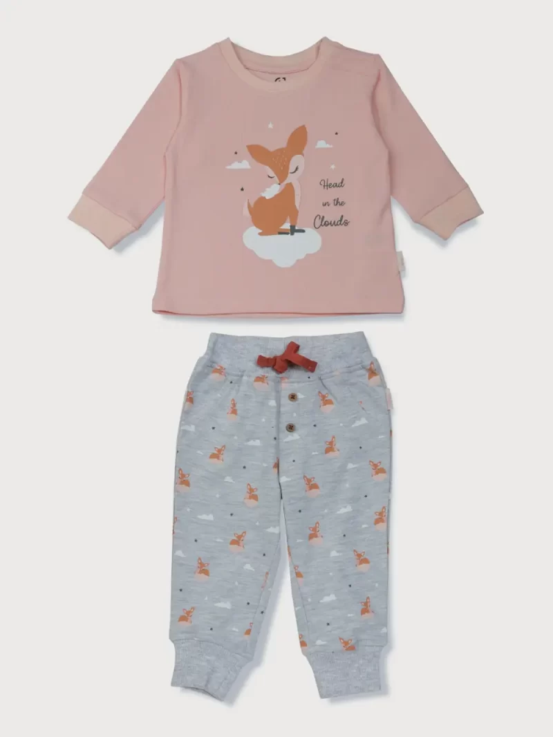 Gj Baby Girls Peach Graphic Print Cotton Co-Ordinate Full Sleeves 12-18M