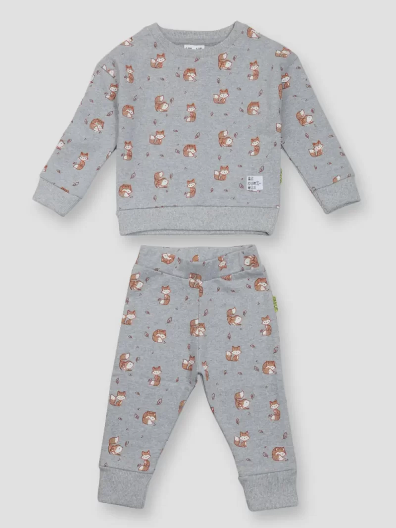 Gj Baby Boys Grey Printed Cotton Co-Ordinated Full Sleeves 9-12M