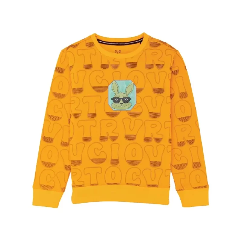 Boys All Over Printed Sweatshirt