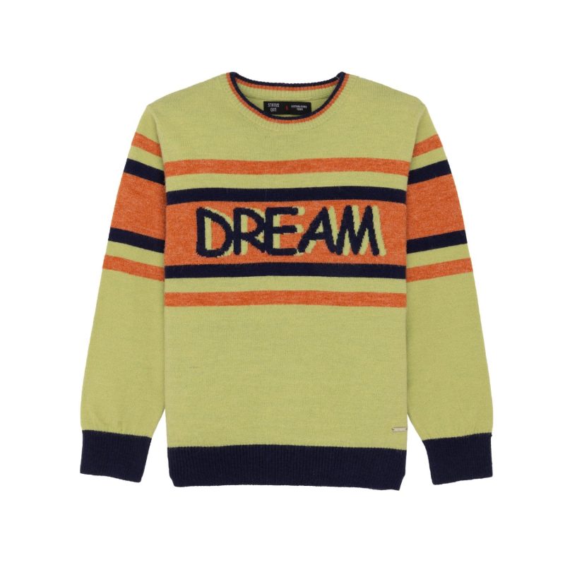 Boys Printed Round Neck Sweater