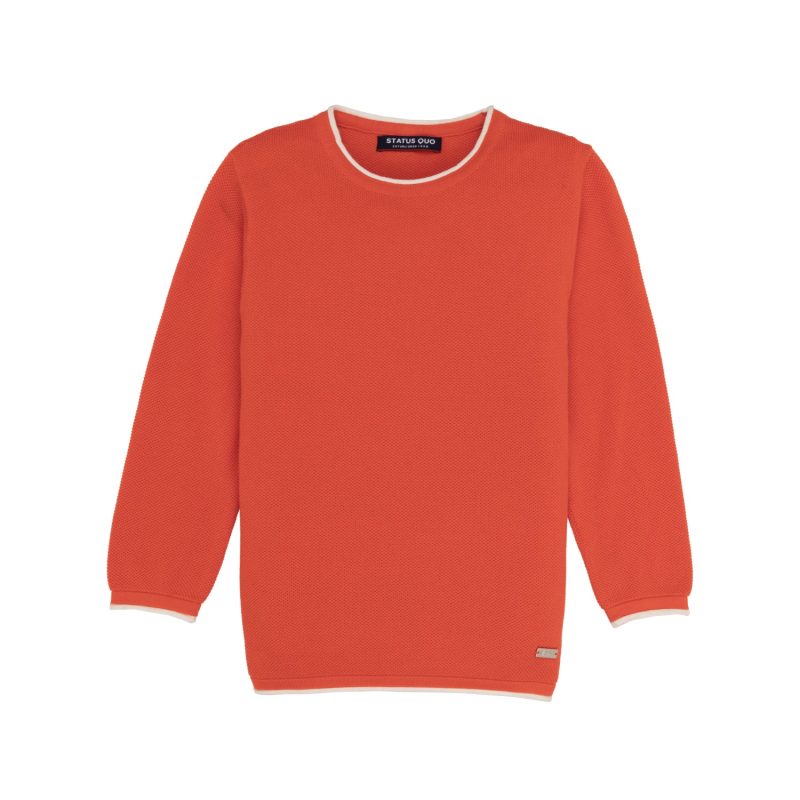 Boys Solid Round Neck Sweater