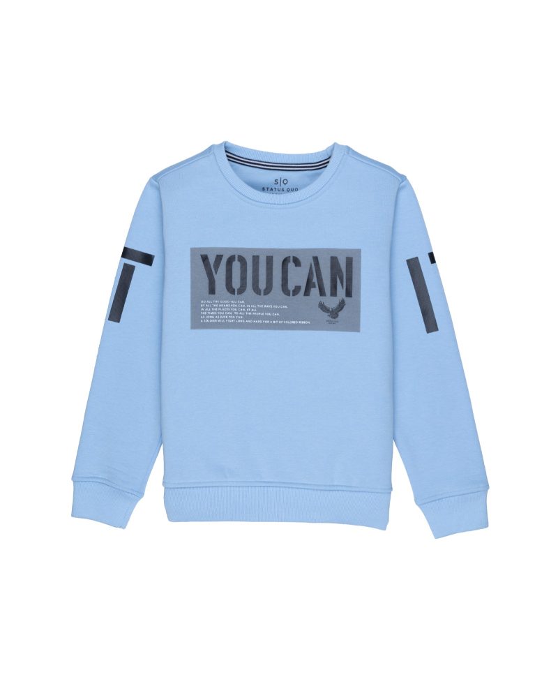 Boys Printed Hooded Sweatshirt