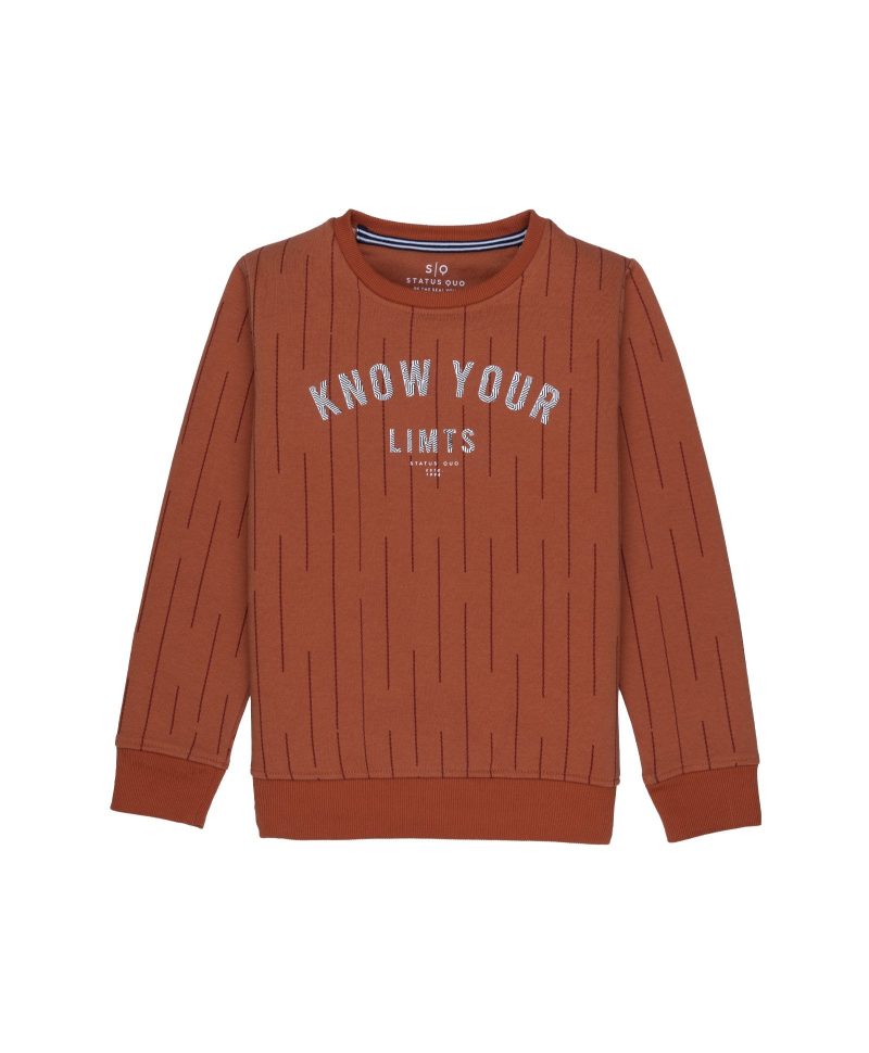 Boys All Over Printed Round Neck Sweatshirt