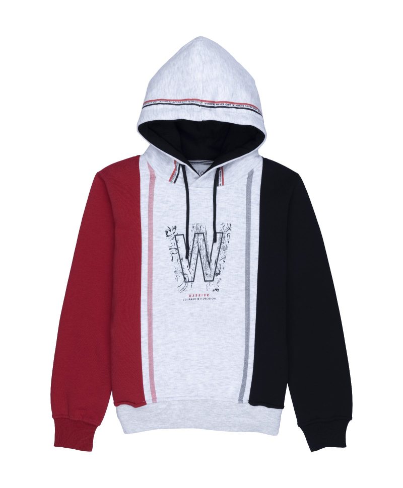 Boys Cut & Sew Hooded Sweatshirt