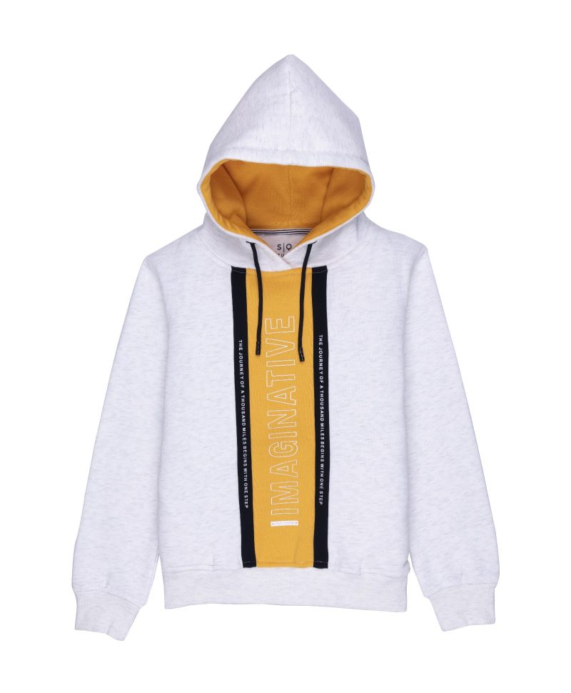 Boys Cut & Sew Hooded Sweatshirt