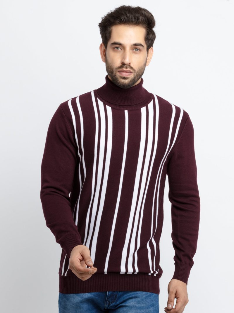 Mens Striped Turtle Neck Sweater