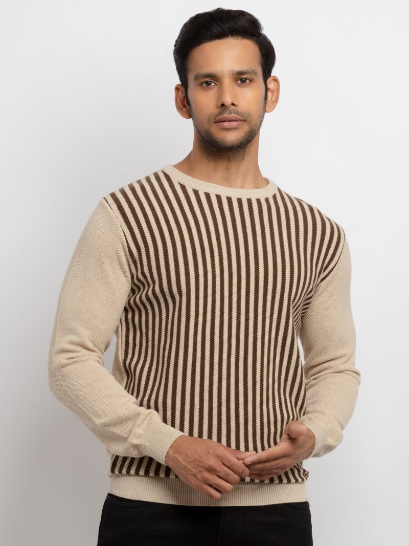 Mens Striped Round Neck Sweater