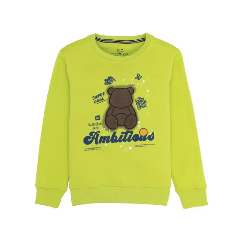 Boys Printed Round Neck Sweatshirt