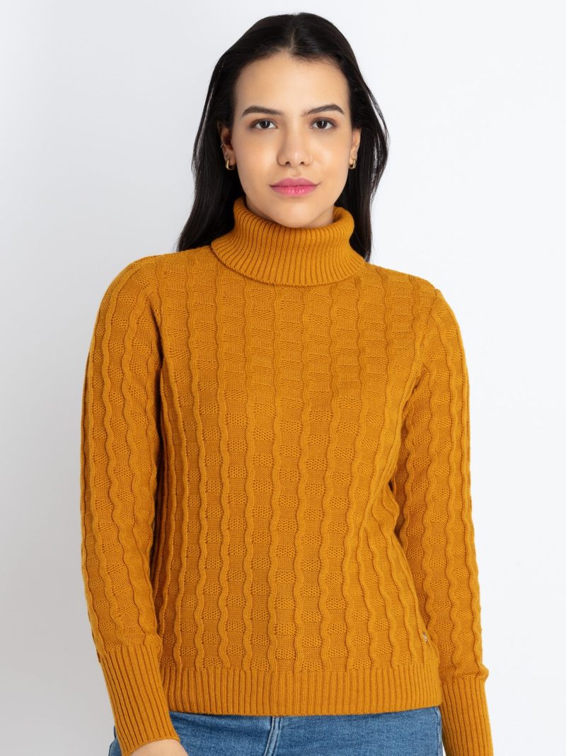 Status Quo Womens Solid High Neck Sweater