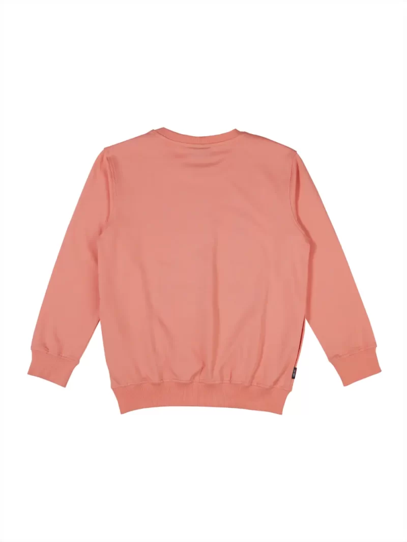 Gini And Jony Boys Peach Printed Cotton Sweat Shirt Full Sleeves