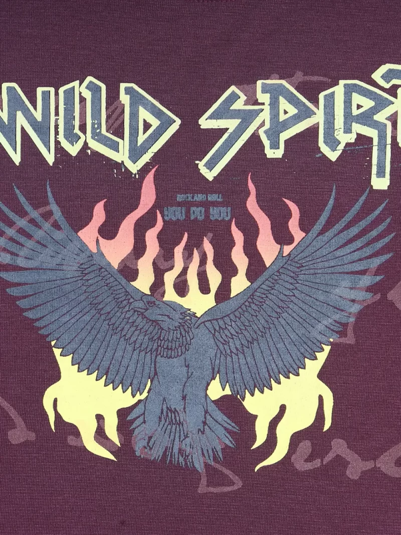 Gini And Jony Boys Burgundy Graphic Print Cotton T-Shirt Full Sleeves