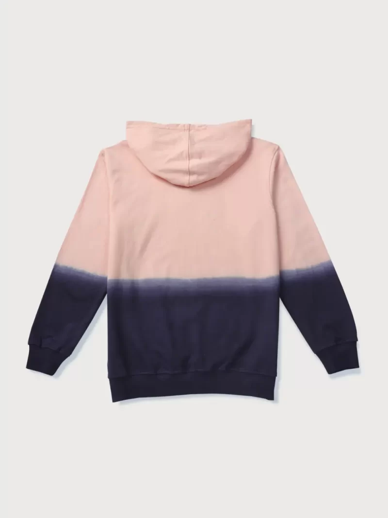 Gini & Jony Boy'S Cotton Hooded Neck Sweat Shirt