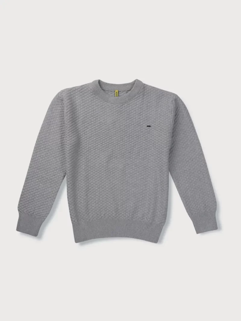 Gini & Jony Boys Grey Solid Woven Full Sleeves Sweater