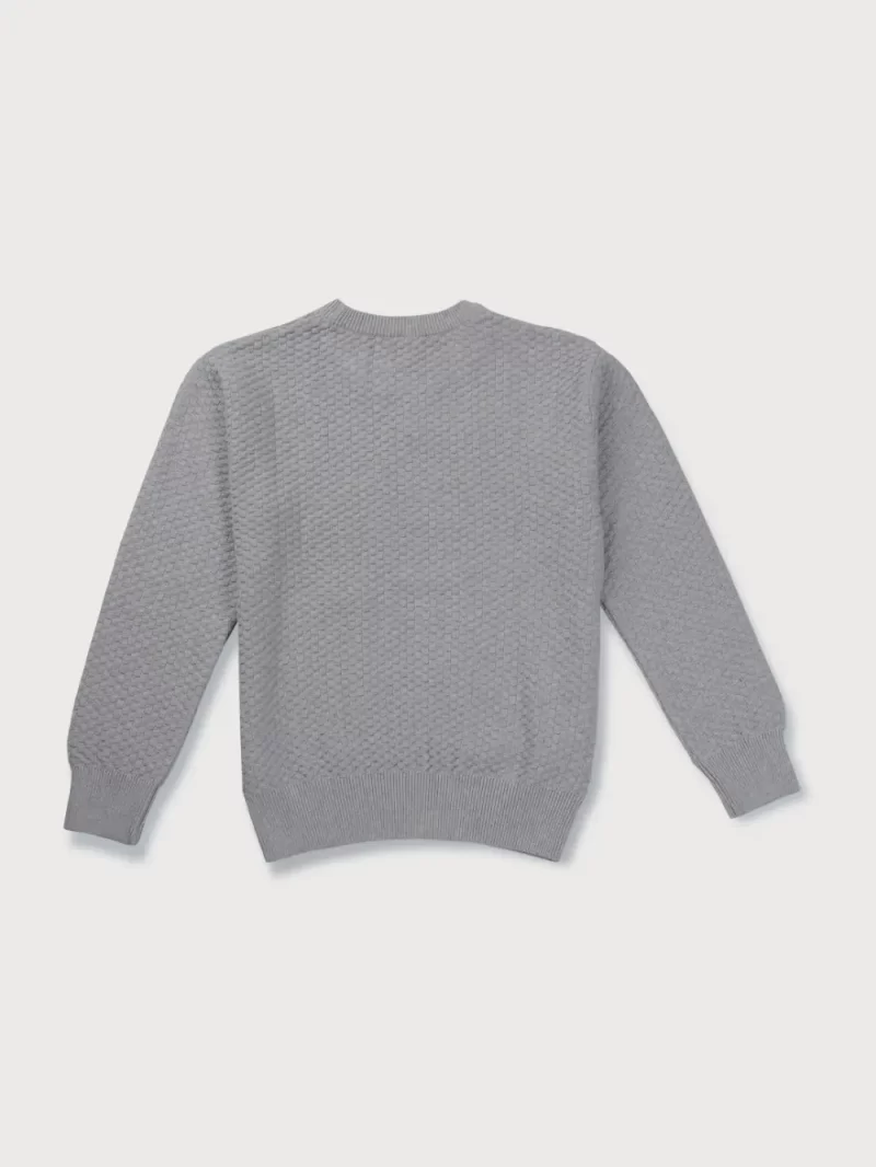 Gini & Jony Boys Grey Solid Woven Full Sleeves Sweater