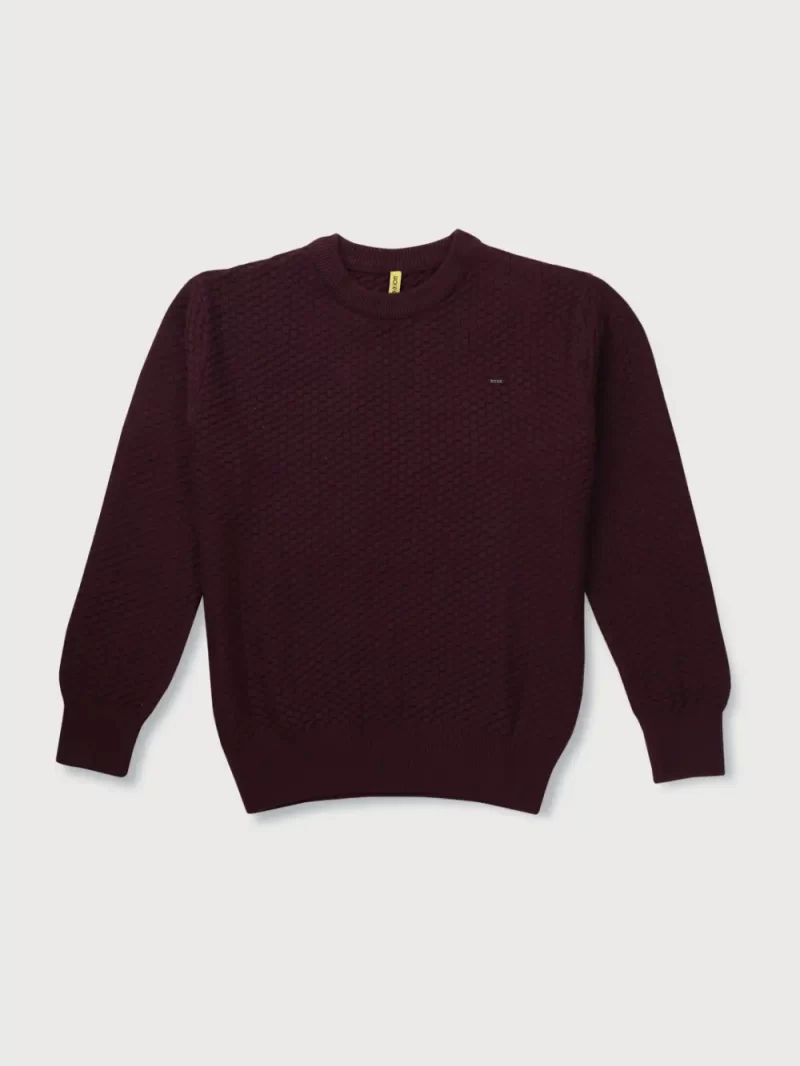 Gini & Jony Boys Red Solid Woven Full Sleeves Sweater