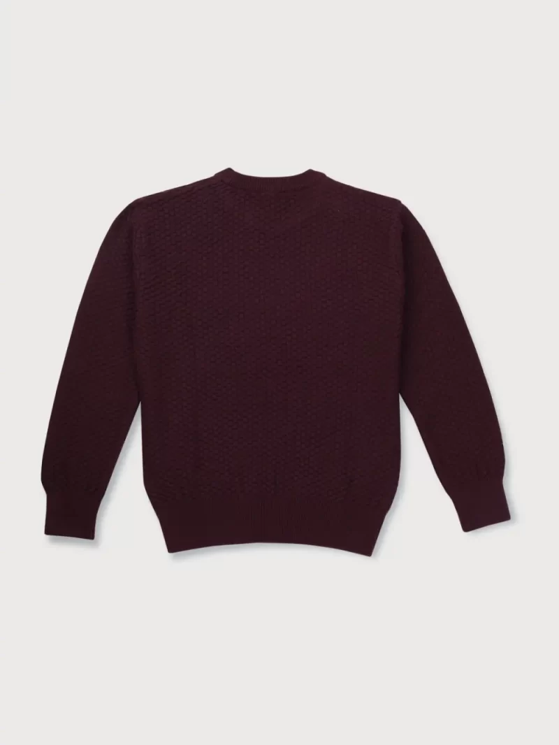 Gini & Jony Boys Red Solid Woven Full Sleeves Sweater