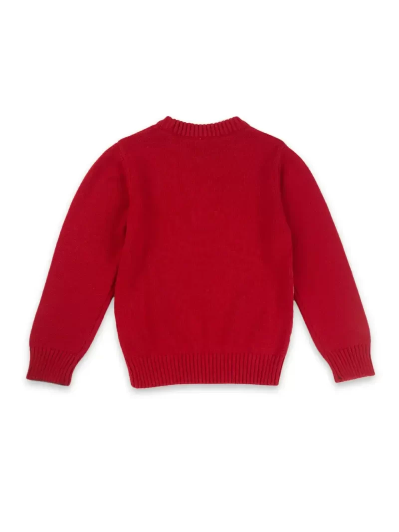 Gini & Jony Applique Crew Neck Casual Boys Sweater