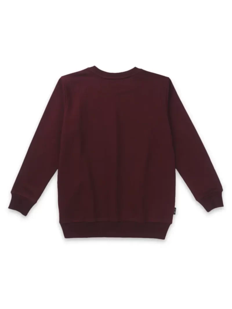 Boys Printed Fleece Sweat Shirt