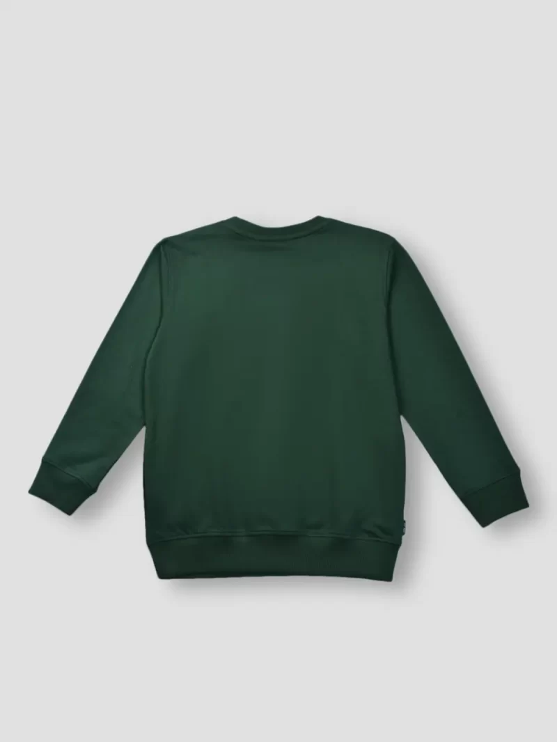 Gini & Jony Boys Green Printed Fleece Full Sleeves Sweat Shirt
