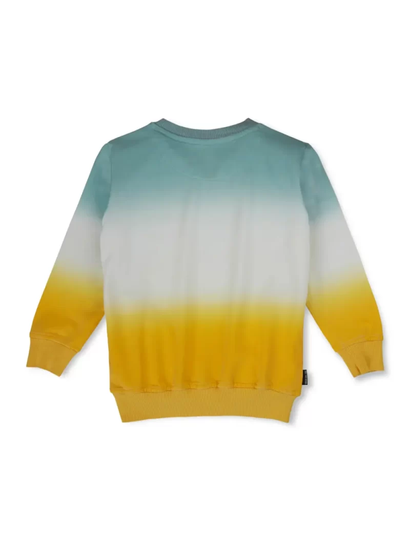 Boys Printed Fleece Sweat Shirt