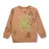 Boys Blue Cotton Printed Sweatshirt