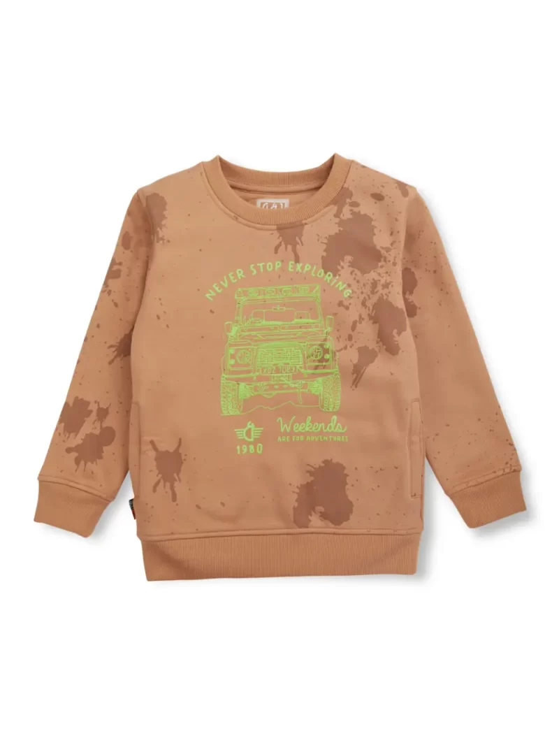 Boys Blue Cotton Printed Sweatshirt